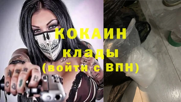 apvp Алексин